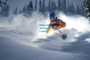 爱游戏体育|意甲新篇章，夸德拉多加盟比萨，世界杯梦想驱动职业生涯新选择